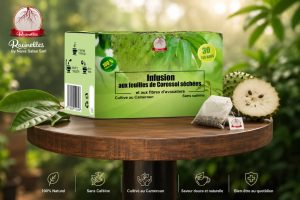 Infusion of Dried Soursop Leaves